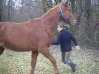 Décembre 2008-février 2009 00256