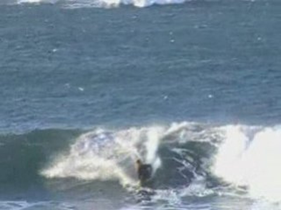 GG_JOKE BODYBOARD FIN 2008