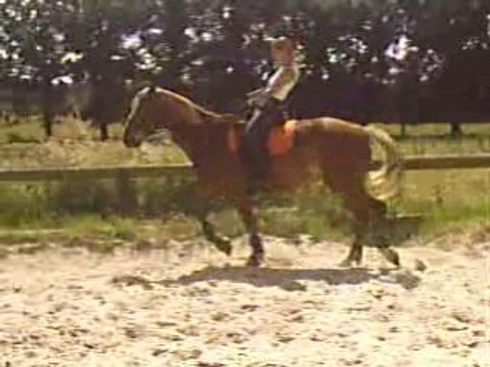 PIC00044