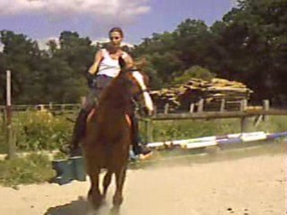 PIC00030
