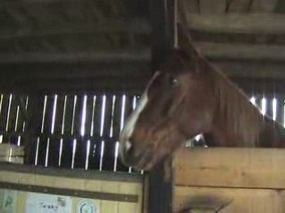 20070117045153