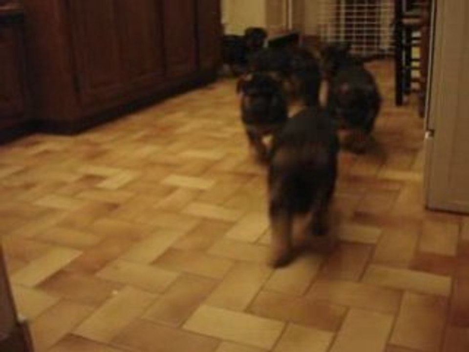 MOV00034