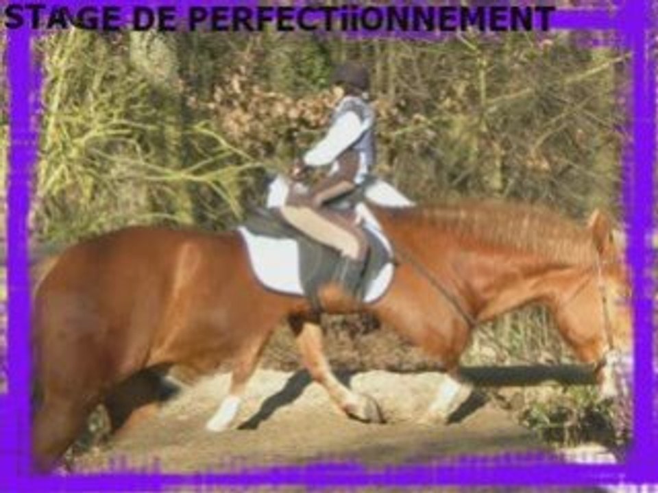 Karma et stage_0001