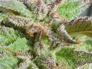 Good News and Views - myinboxnews.com