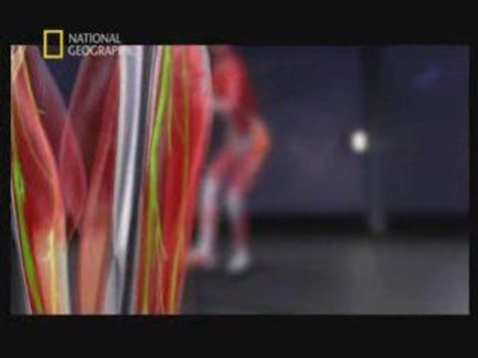 La science du combat -4/5