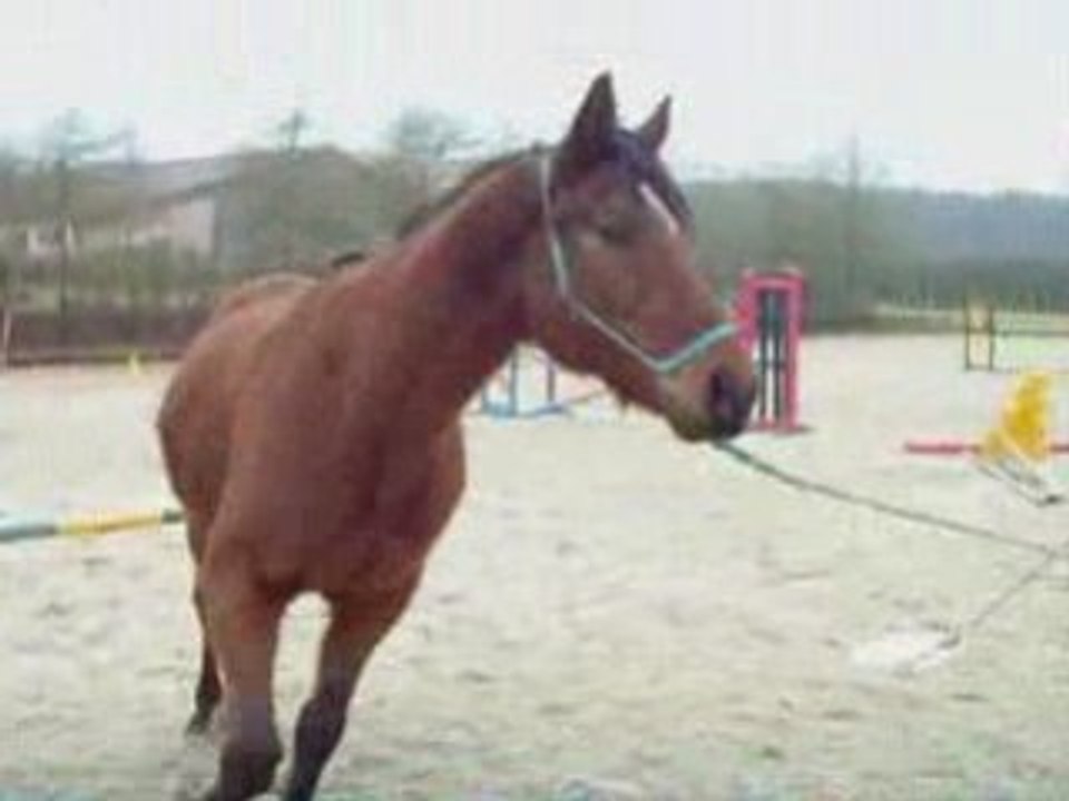 Krypton fevrier 2009