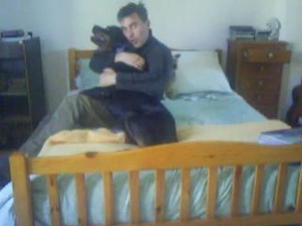 ATTAQUE d'un ROTTWEILLER