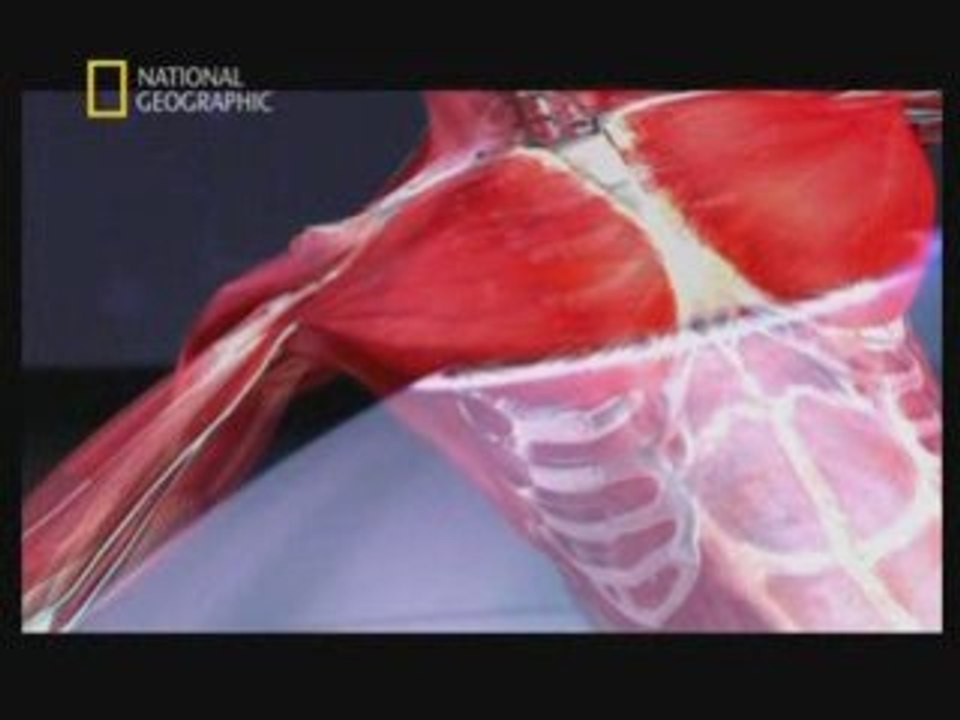 La science du combat -5/5
