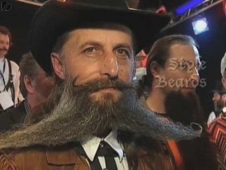 Beard And Moustache Championships 2008