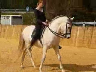 Indra, appuyer, le 25.02.2009