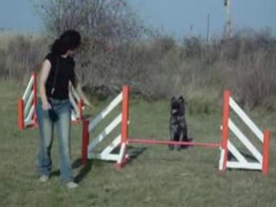 Agility le 25.02.2009