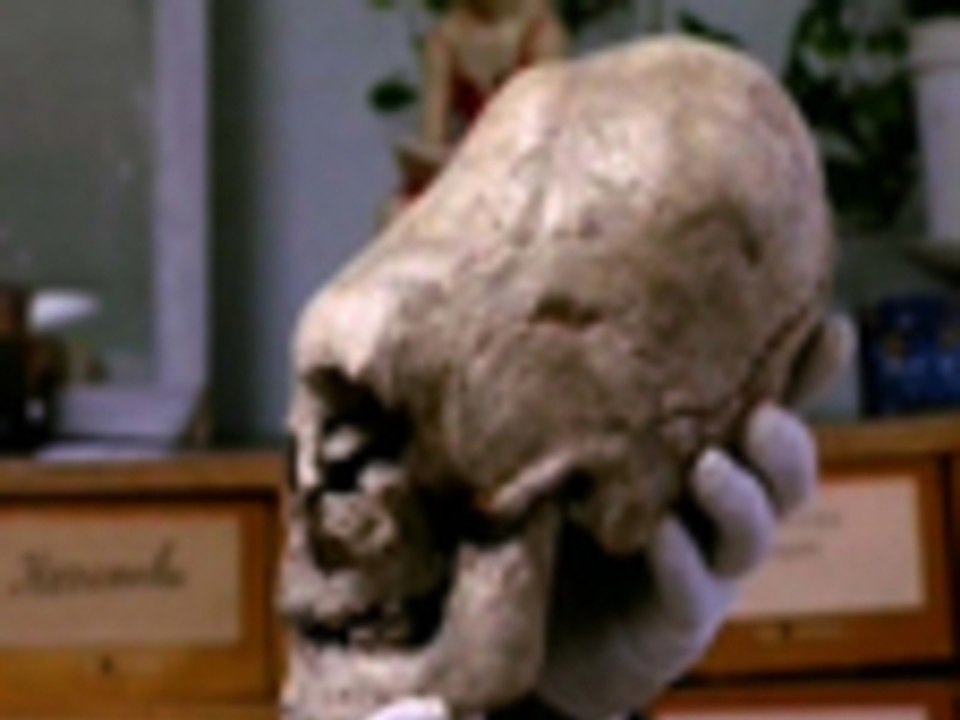 Strange Elongated Skulls Discovered