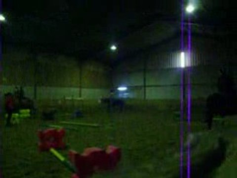 Travail sur barres au sol et cavalettis