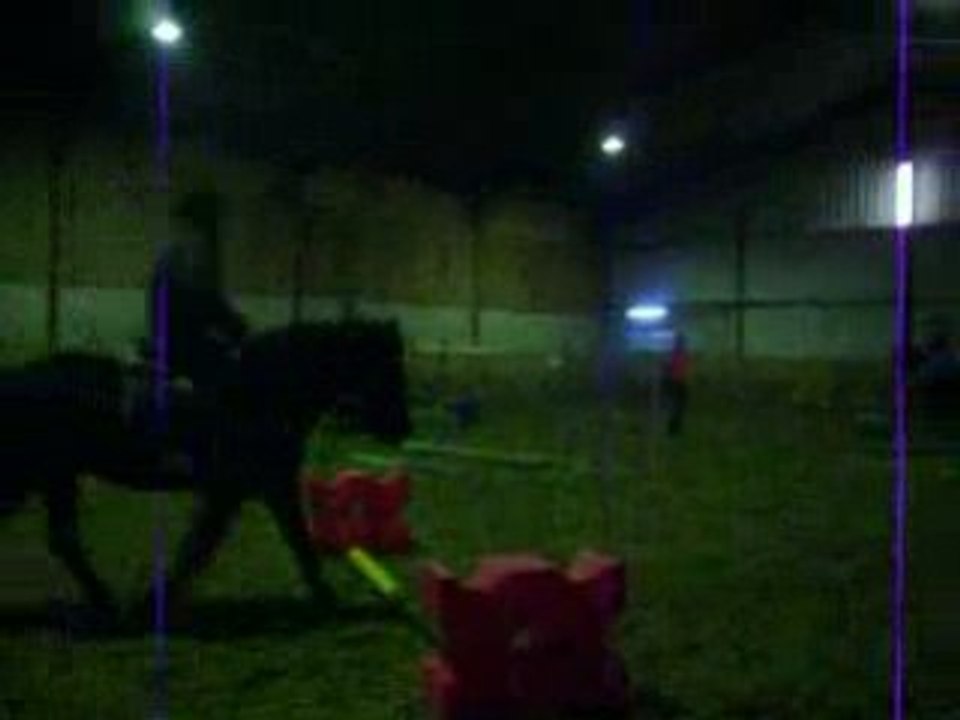 Travail sur barres au sol et cavalettis (1)