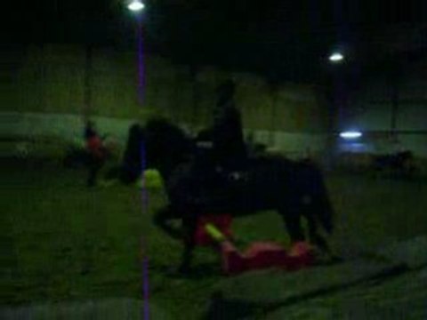 Travail sur barres au sol et cavalettis (2)