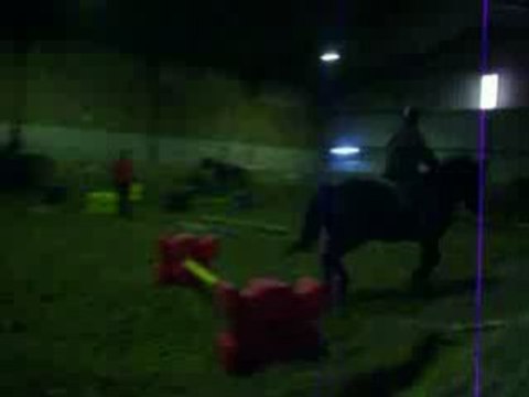 Travail sur barres au sol et cavalettis (4)