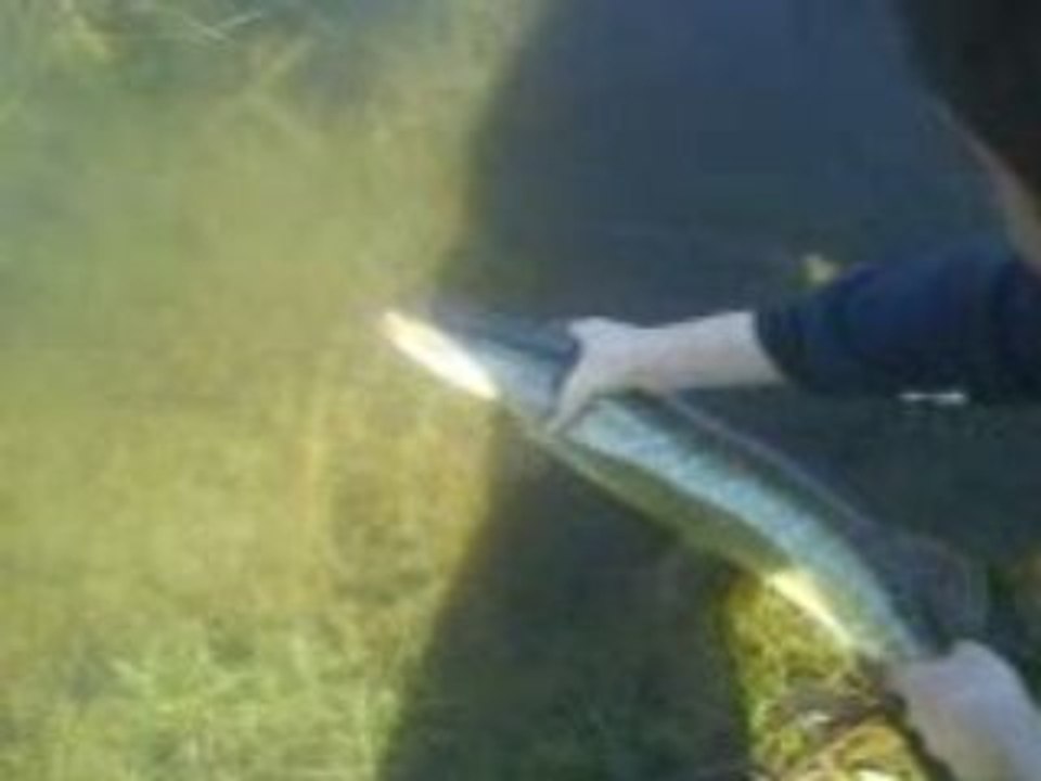 broc team fishing lure