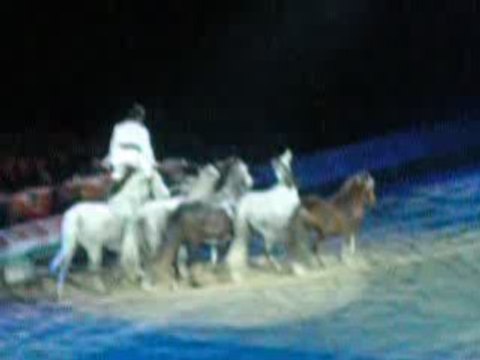 Jean-françois Pignon criniere d'or 2009 videos 6