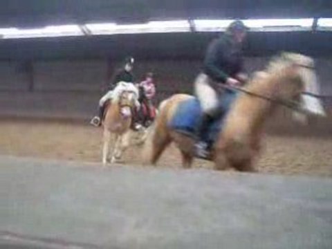 dimanche reprise au galop et chute de vincent =D