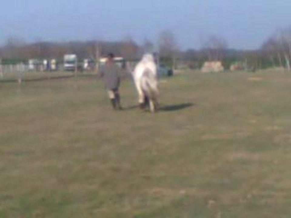 1er galop en main de Snoopy