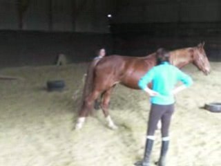 Mout frem saut liberté