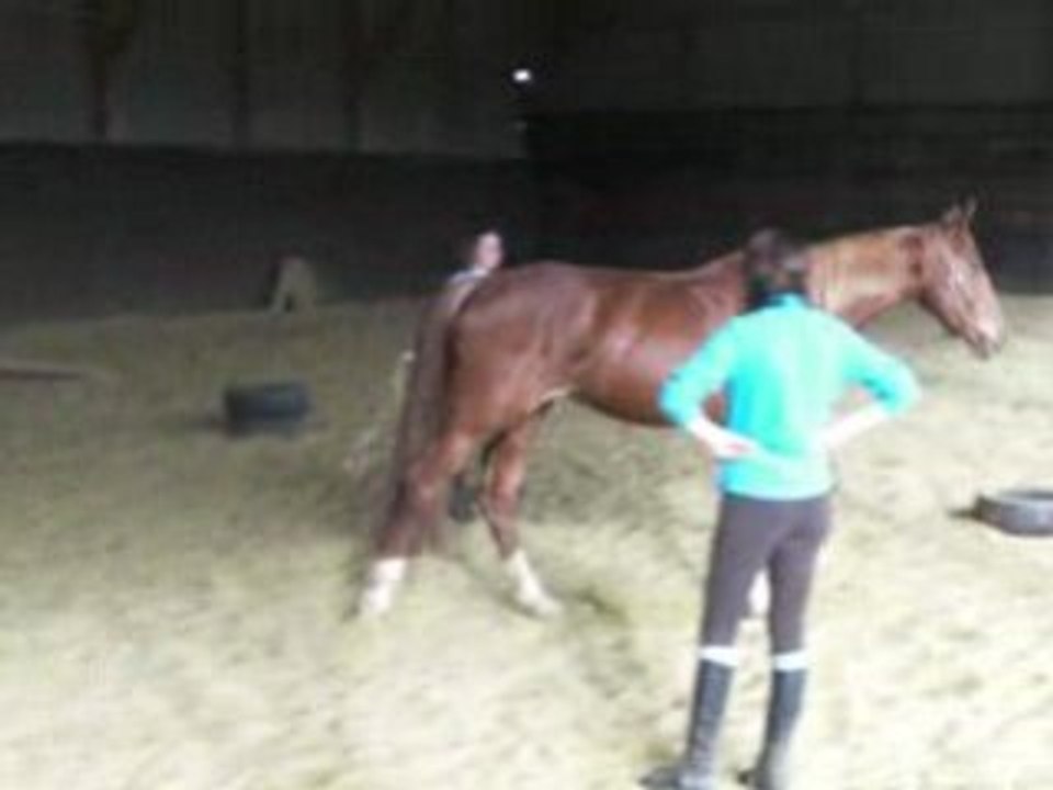 Mout frem saut liberté