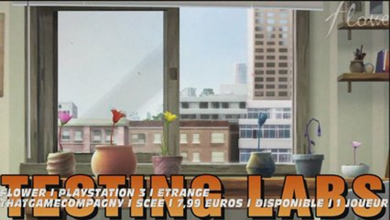 Testing LABS Flower (version longue) | Verdict 9/10