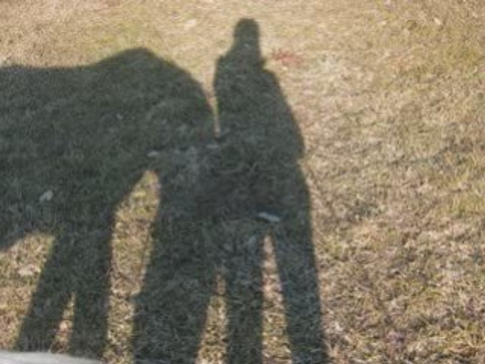 Mercredi liberté dans le pré (25.02.09)