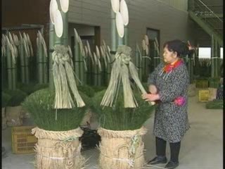 Japanology 20th : Bonsai [2]