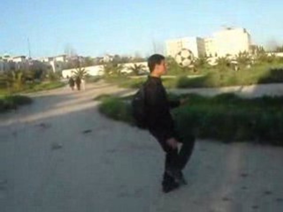 MOV02486
