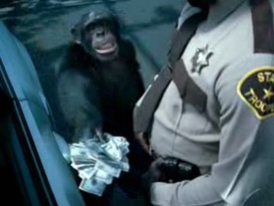 Trunk monkey 4