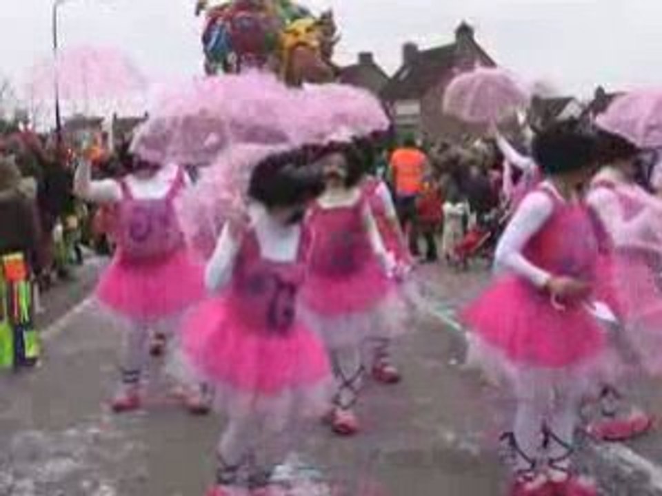 Optocht raamsdonksveer