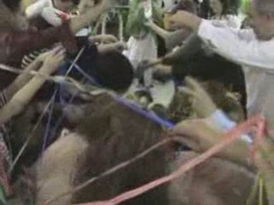 Mariage Claire & Fabrice CROISIERE