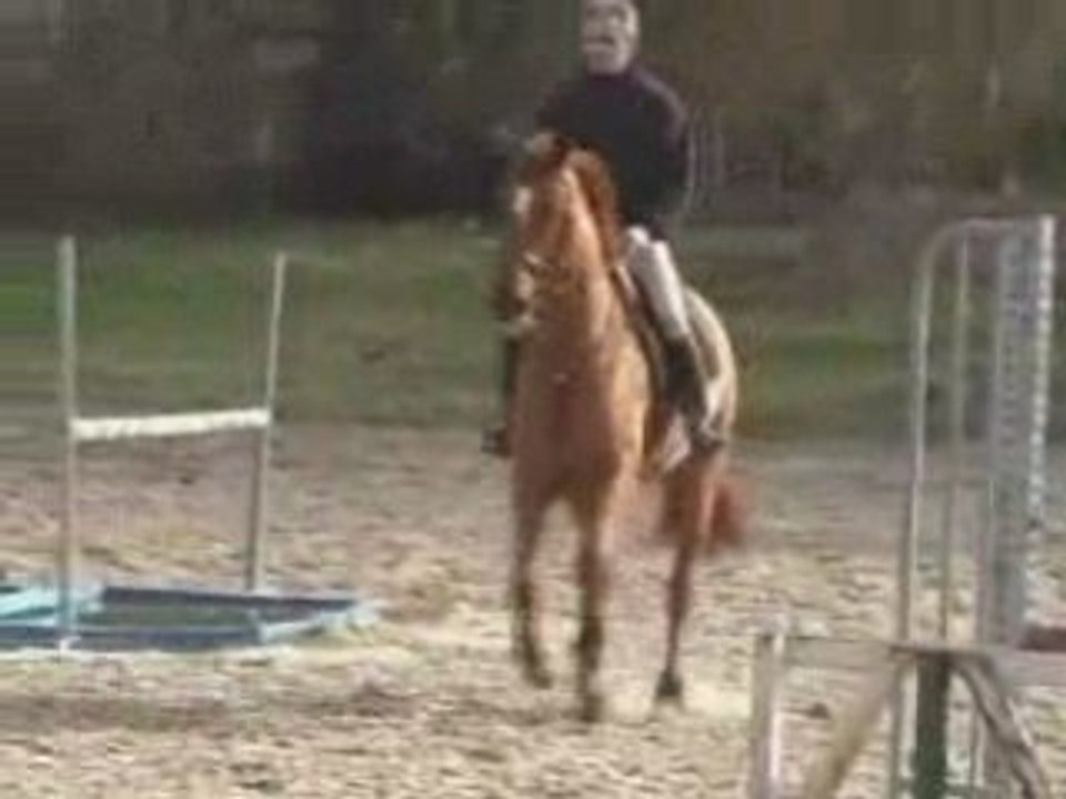 Wally video