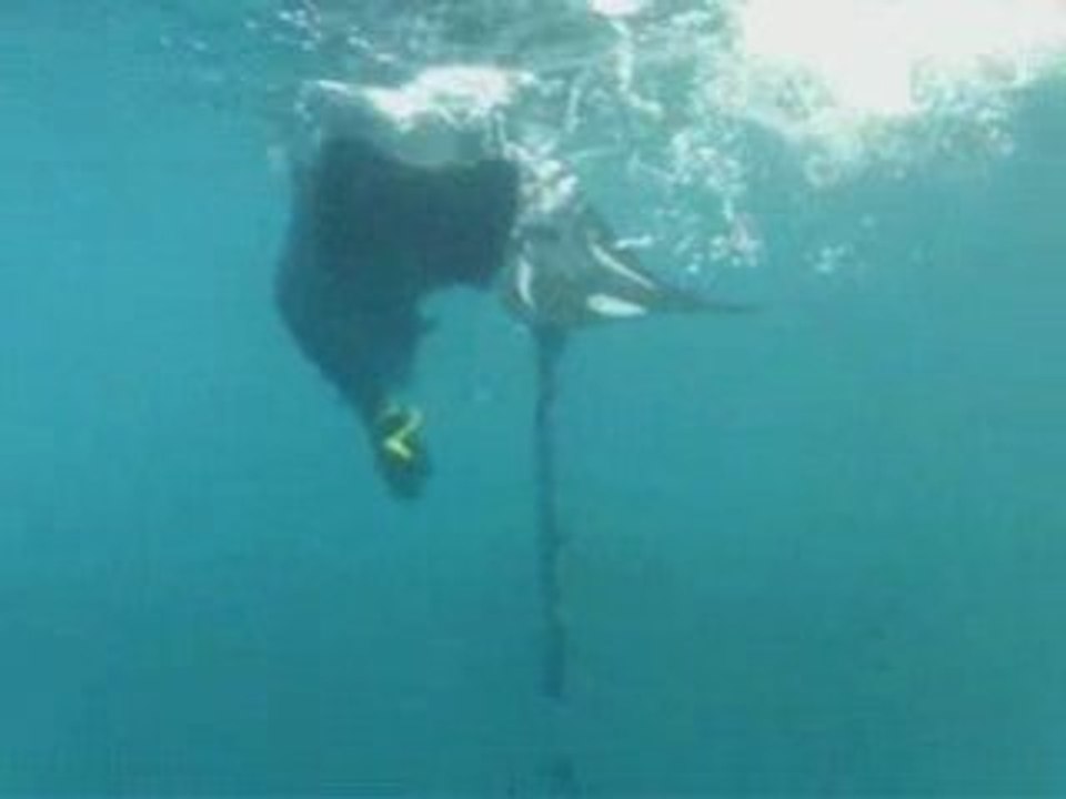 25.02.09