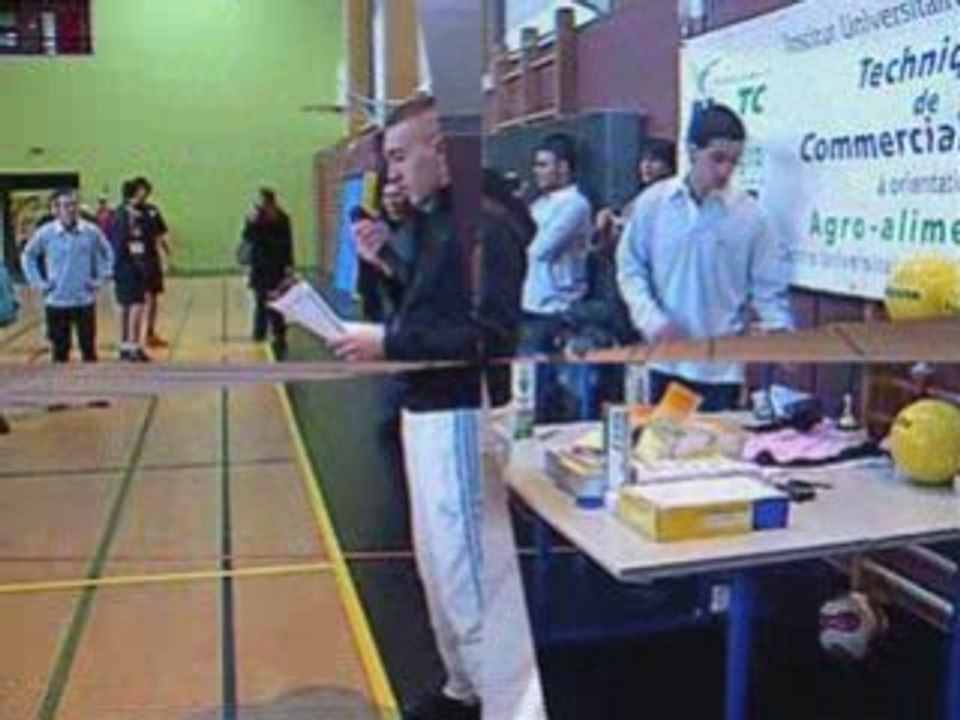 Tournois badminton lycée camille desmoulins