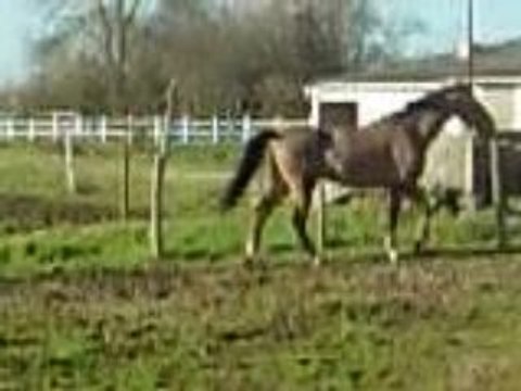 Vacance noel reveillon 007