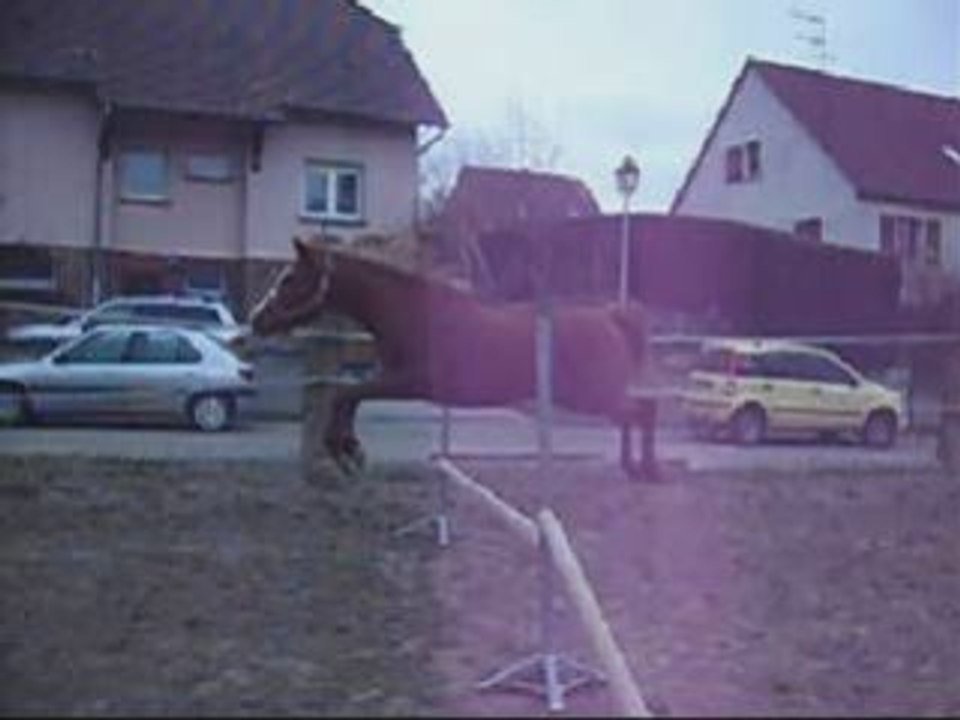 Le Petit Gros =)