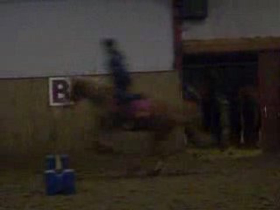 majoli