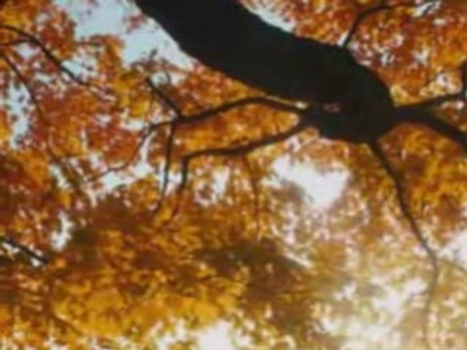 Hüseyin Demir - Vurdular Beni