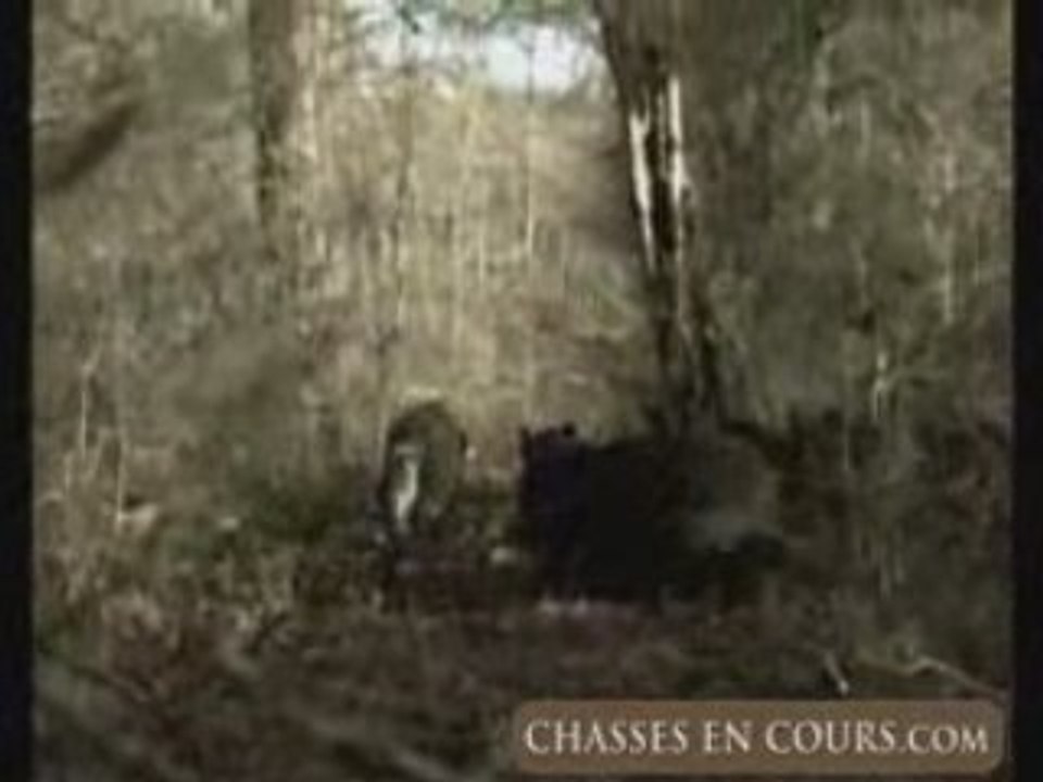 Parc de Ménars / Chasse du Parc de Ménars