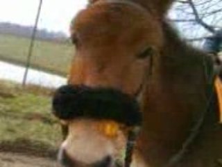 Debut de balade 1ere fis monté pour Rigi