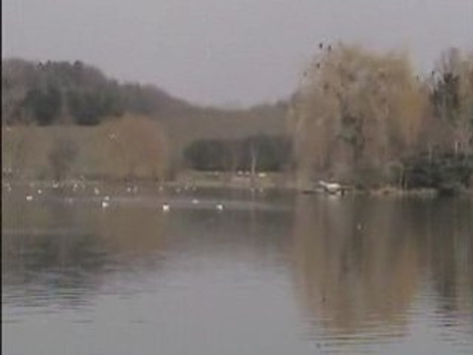 LE CHANTS DES OISEAUX  0  1   74   61    07     18