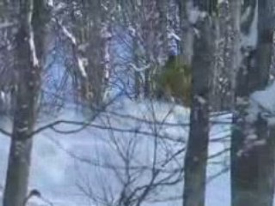 How to 'Ski Trees' with ski legend Glen Plake