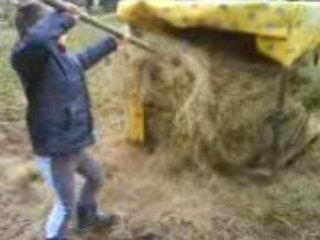 Antonin mets du foin