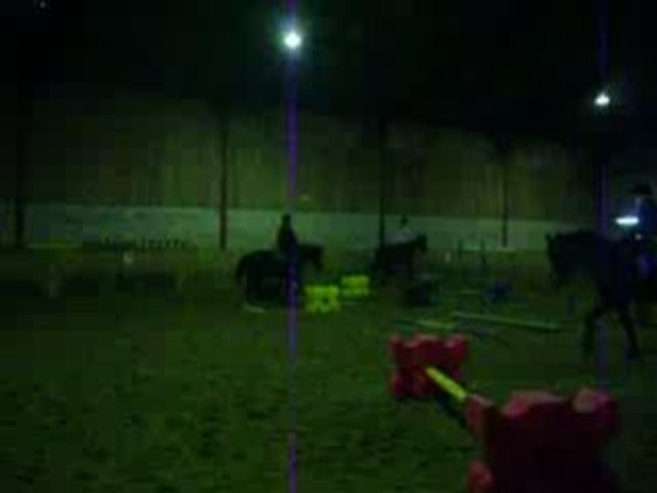 Travail sur barres au sol et cavalettis (5)