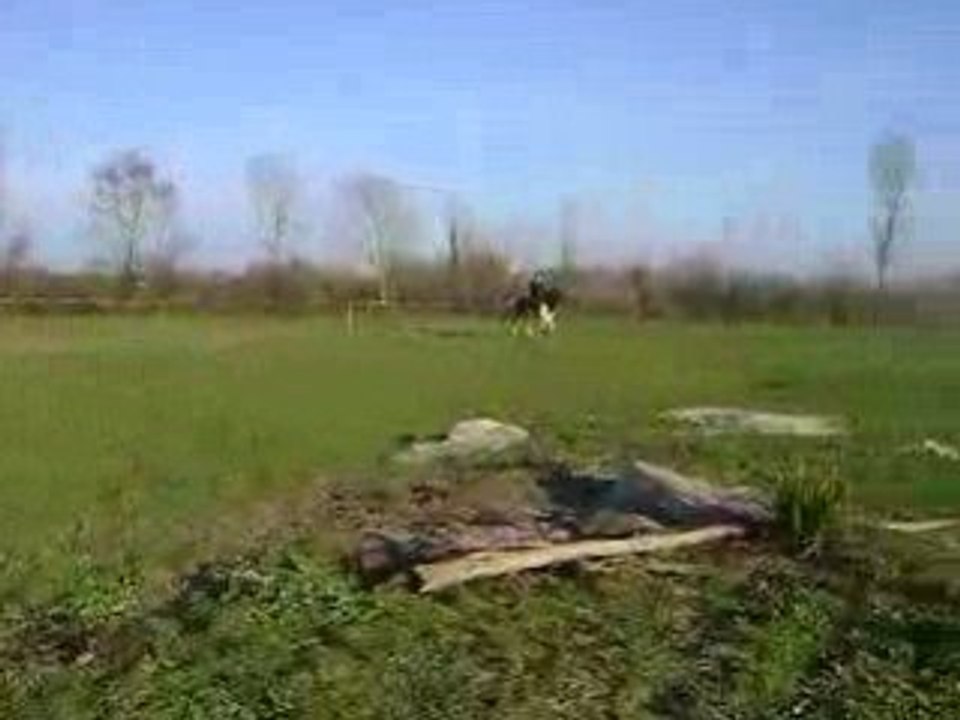 nous au galop