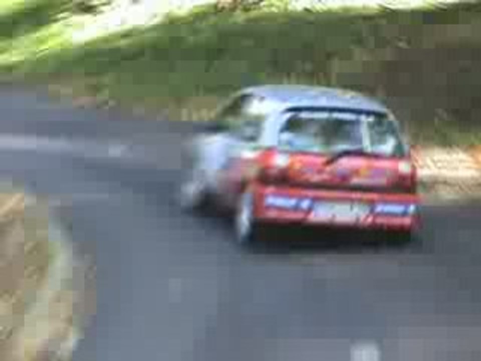 clio williams