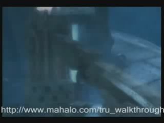 Tomb Raider  Underworld