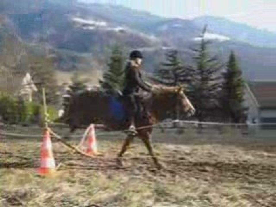 shogan iankee saut